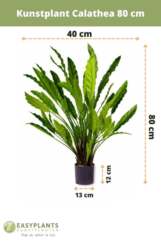 Planta artificial Calathea 80 cm