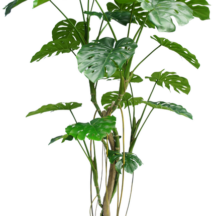 Planta artificial Monstera 210 cm