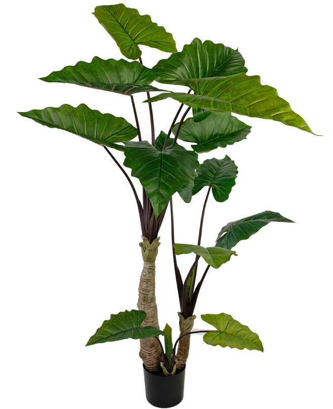 Planta artificial Alocasia 180 cm