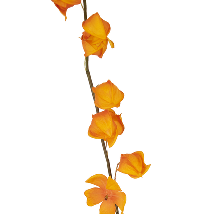 Ramo de flor artificial Physalis Lampion 90 cm naranja