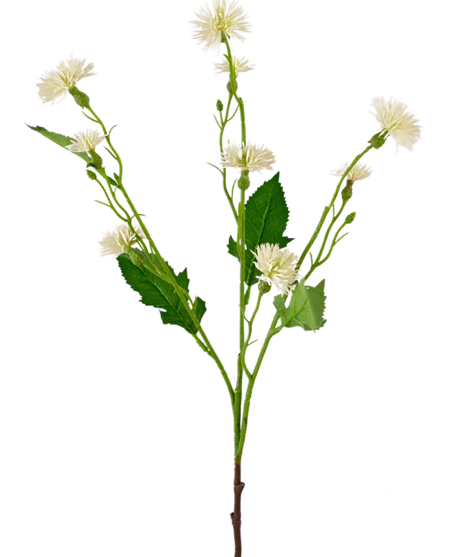 Rama de flor artificial Margarita 54 cm rayo blanco