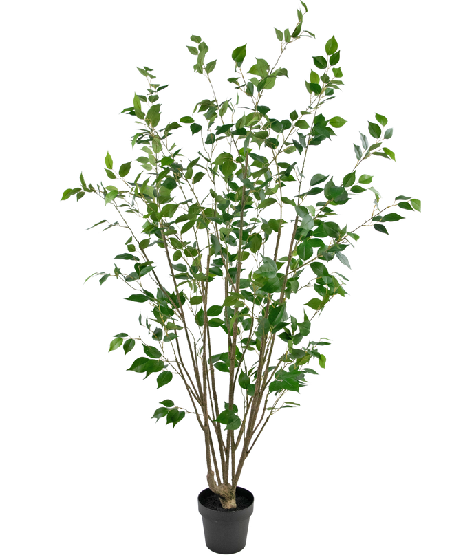 Planta artificial Ficus 180 cm