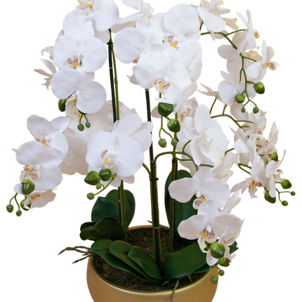 Orquídea artificial 65 cm blanca en cuenco dorado