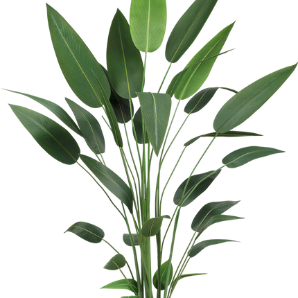 Planta artificial Heliconia 210 cm