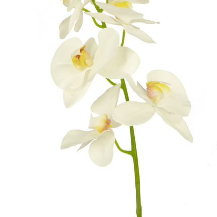Ramo de flor artificial Orquídea 84 cm blanca