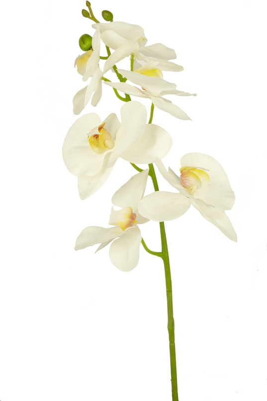 Ramo de flor artificial Orquídea 84 cm blanca