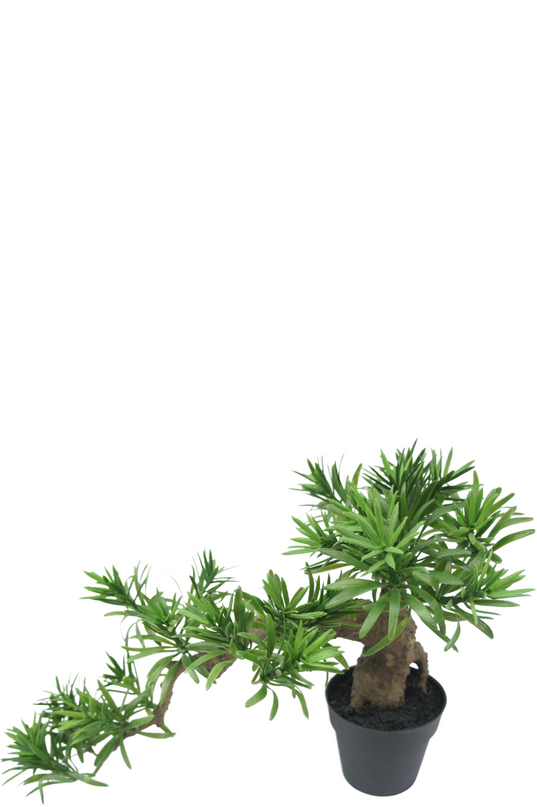 Bonsái Artificial Podocarpus 52 cm
