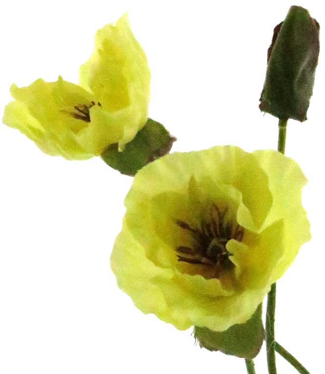 Ramo de flor artificial Amapola 70 cm amarilla