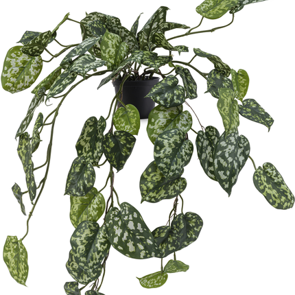 Planta colgante artificial Scindapsus 70 cm