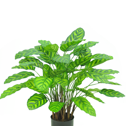 Planta artificial Calathea Makoyana Deluxe 75 cm