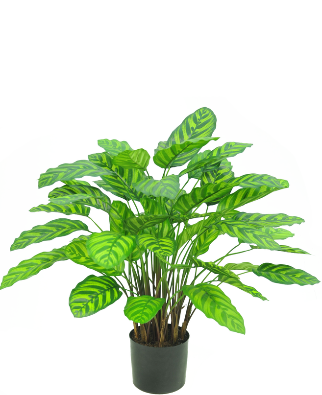 Planta artificial Calathea Makoyana Deluxe 75 cm