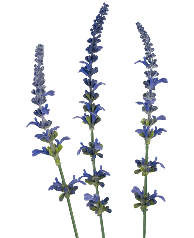 Rama artificial flor Lavanda 66 cm azul