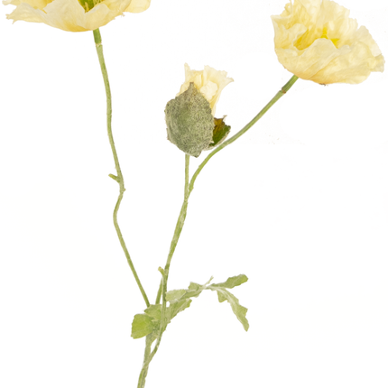 Ramo de flor artificial Amapola 73 cm crema