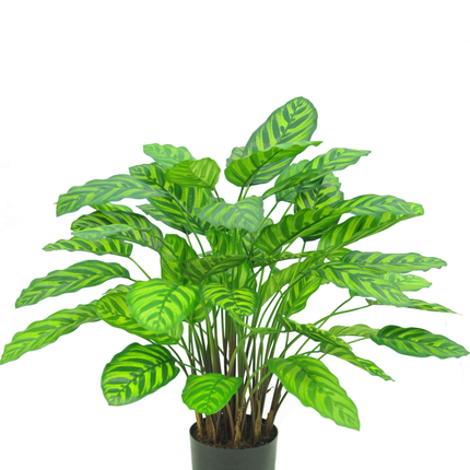 Planta artificial Calathea Makoyana 75 cm roja