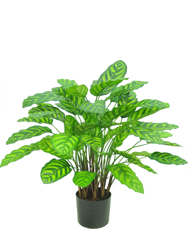 Planta artificial Calathea Makoyana 75 cm roja