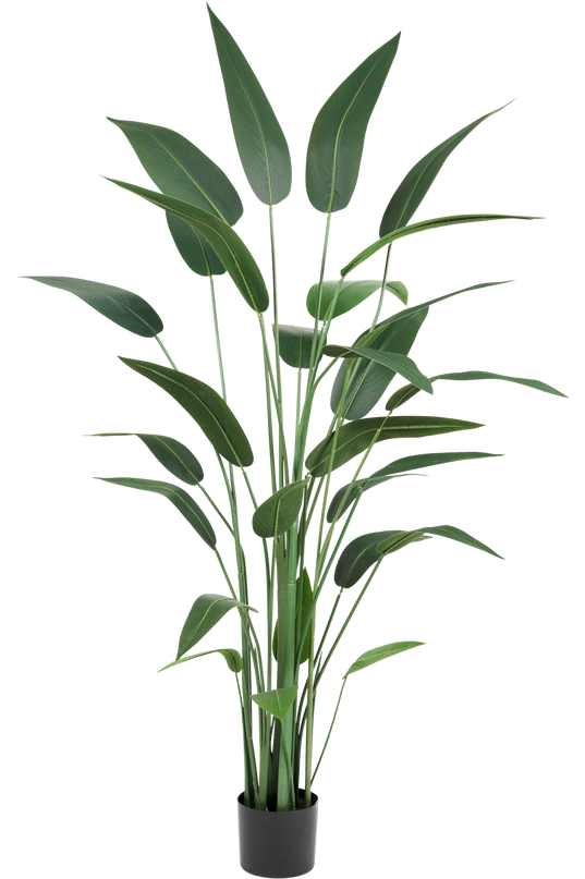 Planta artificial Heliconia 180 cm