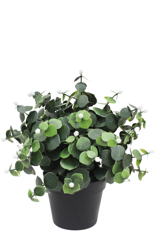 Planta artificial Eucalipto blanco 22 cm UV