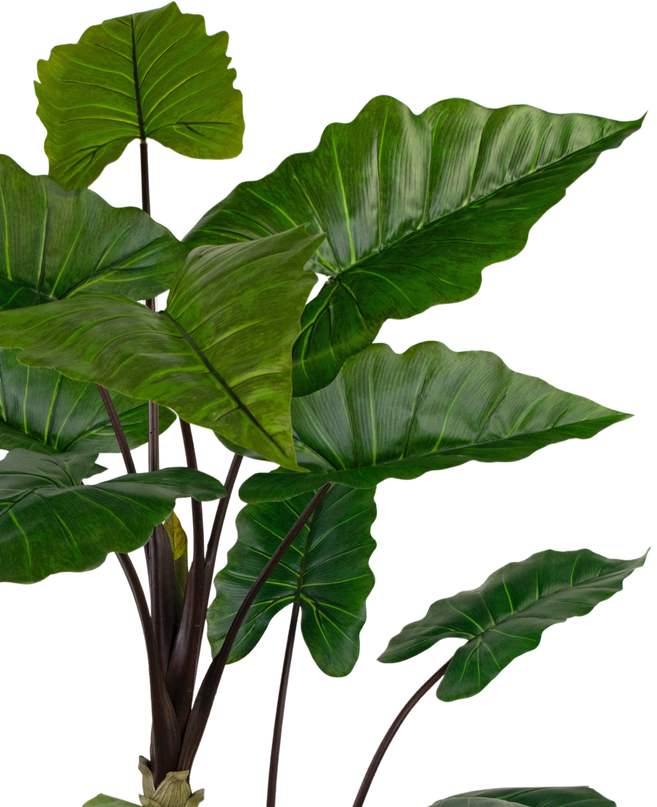 Planta artificial Alocasia 180 cm