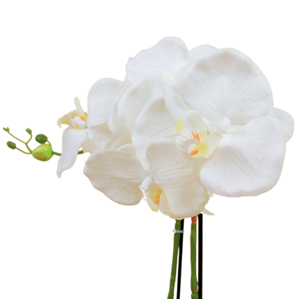 Orquídea artificial 62 cm blanca