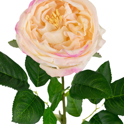 Rosa artificial de jardín "Anniken" Toque real melocotón 72cm