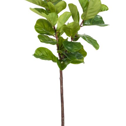 Ficus Planta de Tabaco Deluxe 155 cm