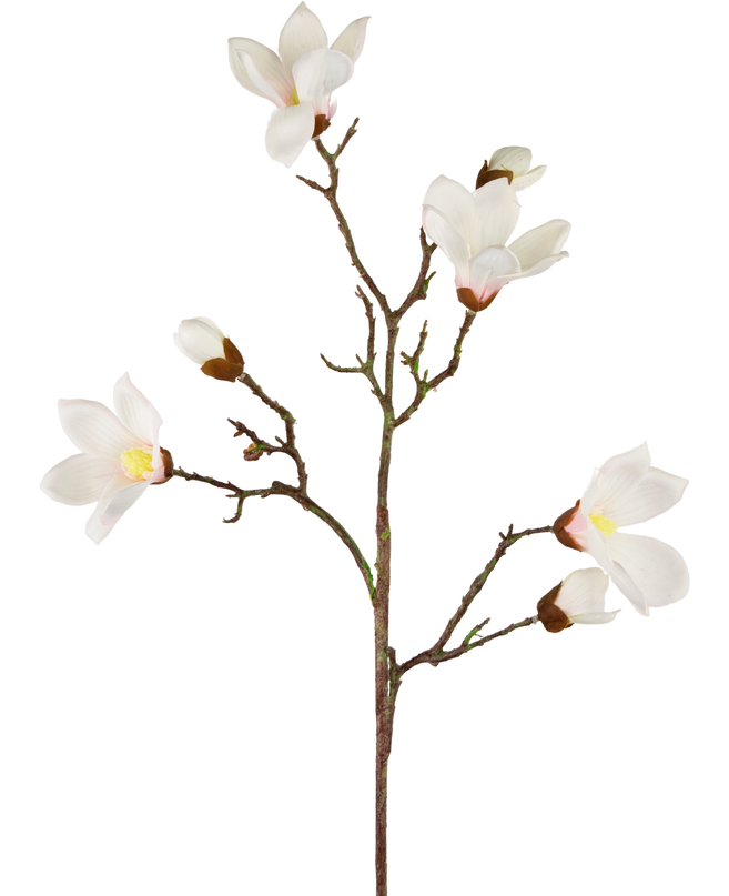 Rama de magnolia artificial Real Touch Blanco 98cm
