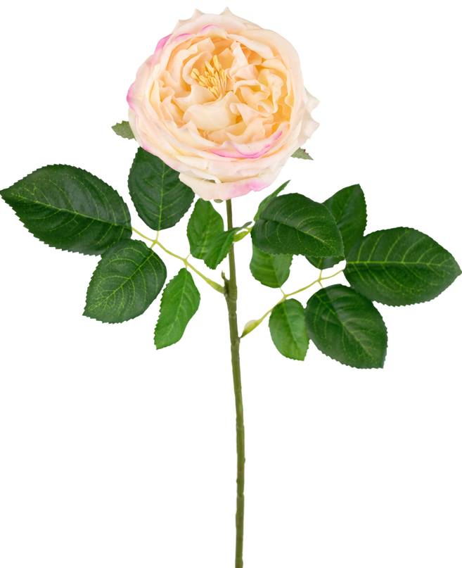 Rosa artificial de jardín "Anniken" Toque real melocotón 72cm