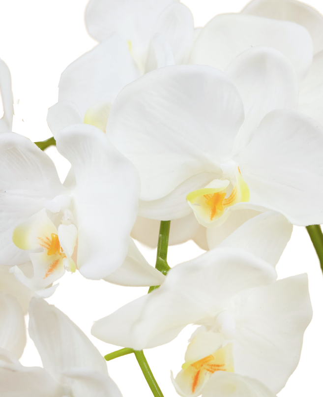 Orquídea artificial 56cm crema en maceta decorativa dorada