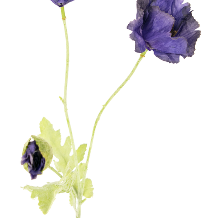 Ramo de flor artificial Amapola 73 cm púrpura