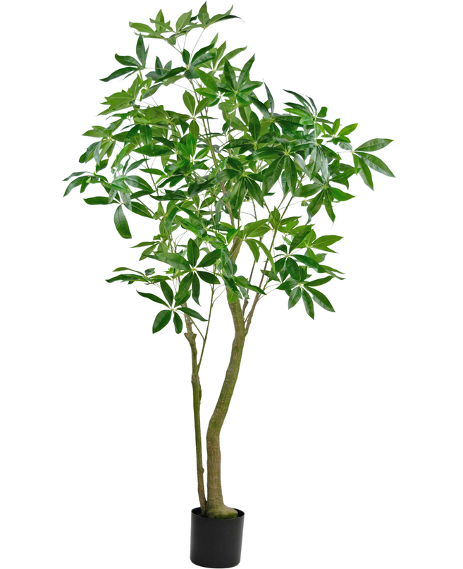 Planta artificial Pachira Árbol del Dinero 180 cm