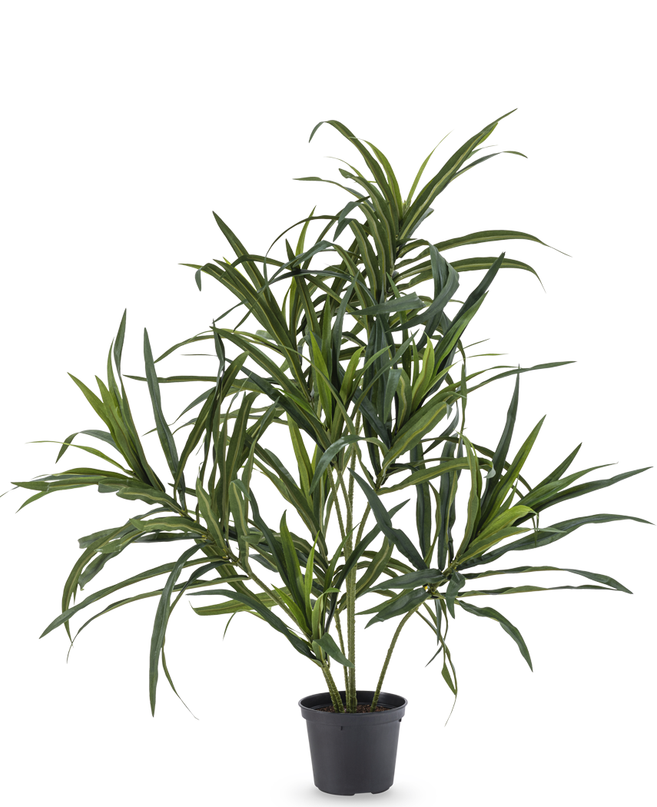 Planta artificial Dracaena Reflexa 63 cm