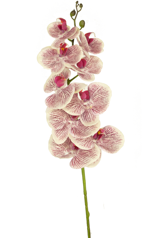 Orquídea artificial Real Touch Deluxe 105 cm fucsia/blanco