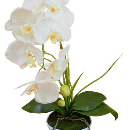 Orquídea artificial 50 cm blanca en maceta decorativa blanca