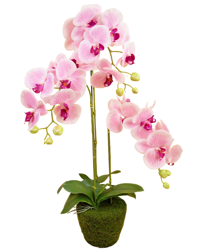 Orquídea artificial 58 cm blanca