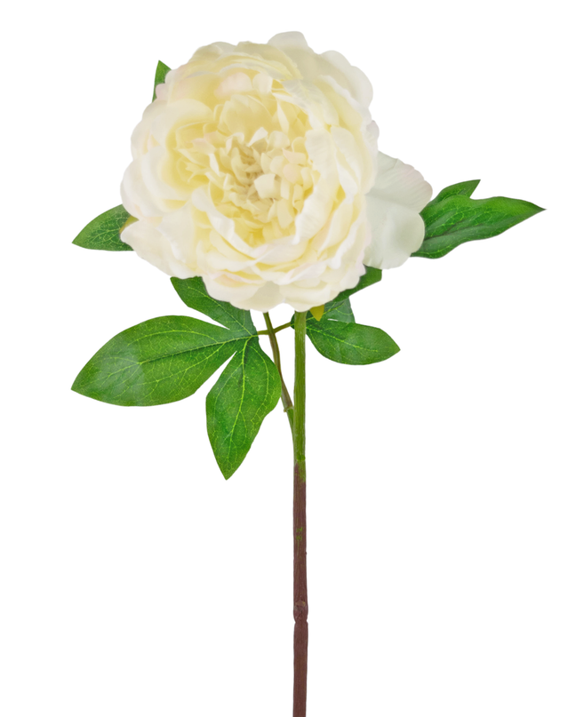 Ramo de flor artificial Peonía 61 cm blanca