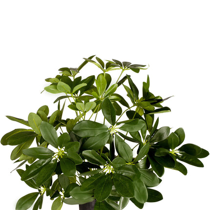 Planta artificial Baby Schefflera 45 cm