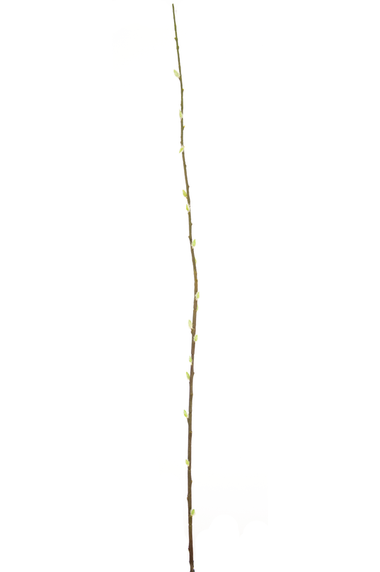 Ramo de flor artificial Salix sauce 150 cm