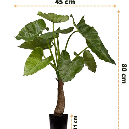 Planta artificial Alocasia 80 cm