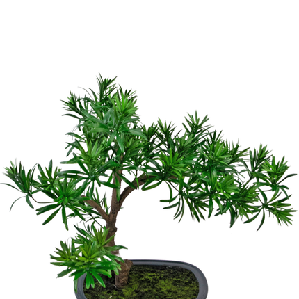 Planta artificial Bonsái Podocarpus 40 cm