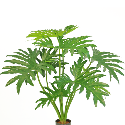 Planta artificial Filodendro 80 cm