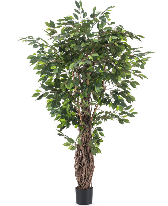 Planta artificial Ficus Tropical Liana 180 cm