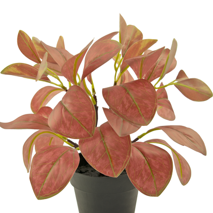 Planta artificial Rohdea 28 cm roja
