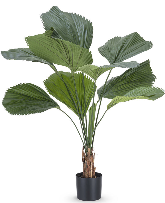 Planta artificial Lucuala Grandis 120 cm