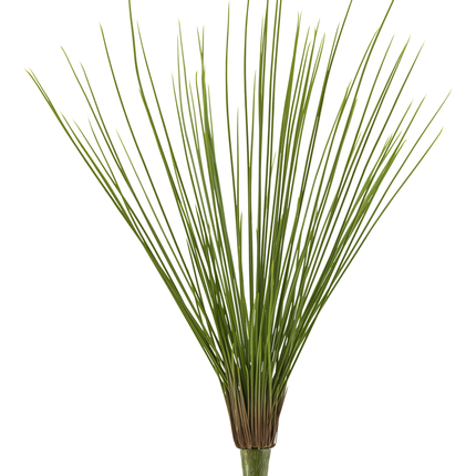 Hierba silvestre artificial Royal Grass 60 cm