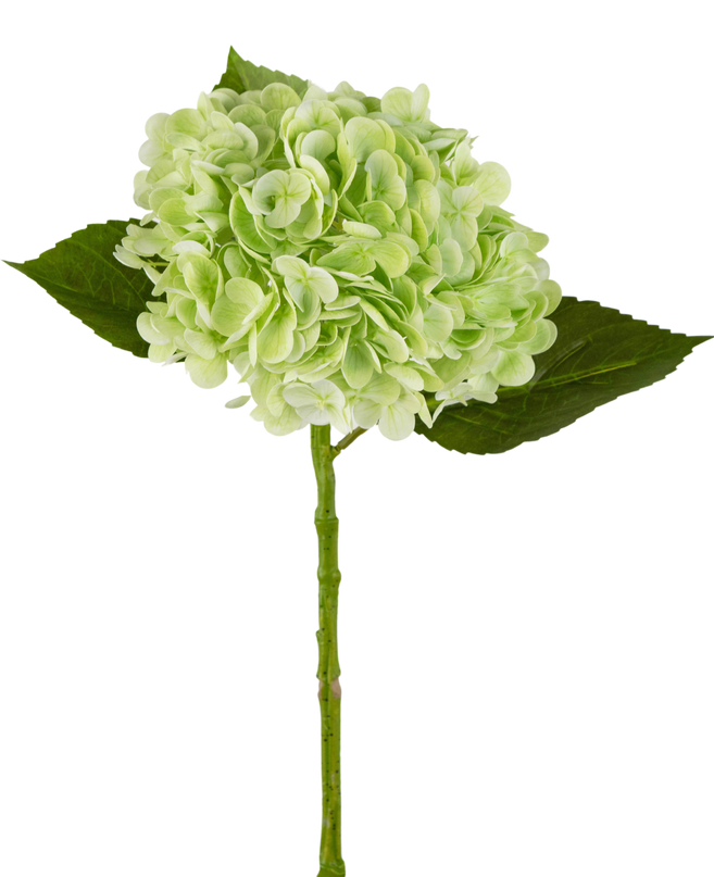 Hortensia artificial "Annabelle" Real Touch Verde 55cm