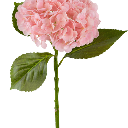 Hortensia artificial "Annabelle" Real Touch Rosa 55cm