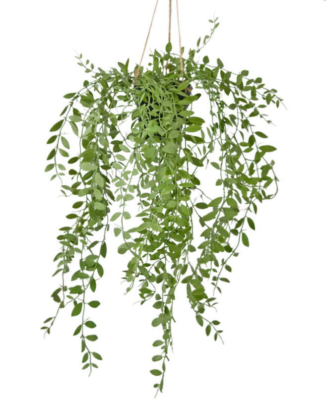 Planta colgante artificial Pumila en maceta 55 cm