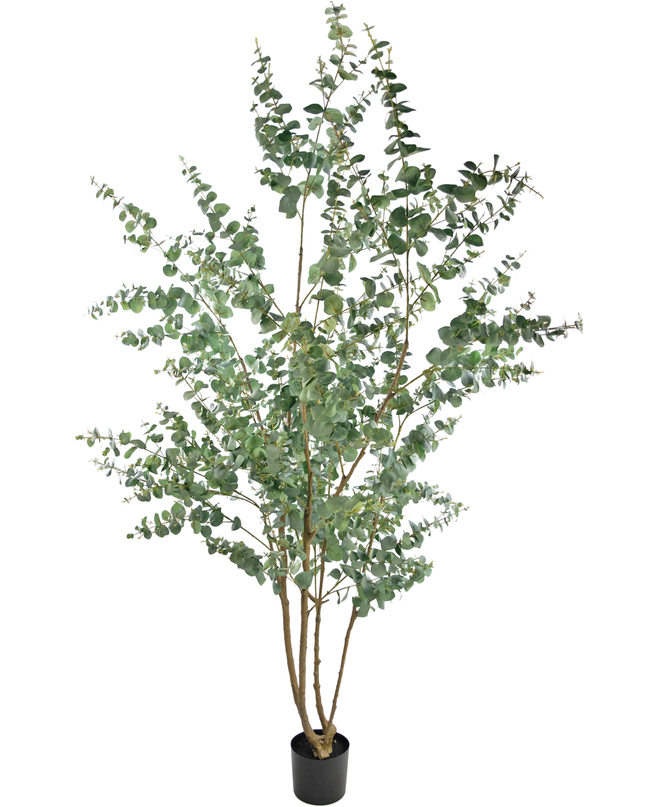 Planta artificial Eucalipto 240 cm