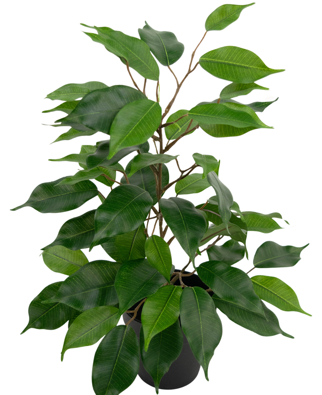 Ficus artificial en maceta 40cm
