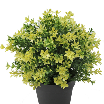 Planta artificial Boj amarillo 22 cm UV